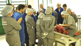 Treinamento incluiu coleta de material para diagóstico de EEB